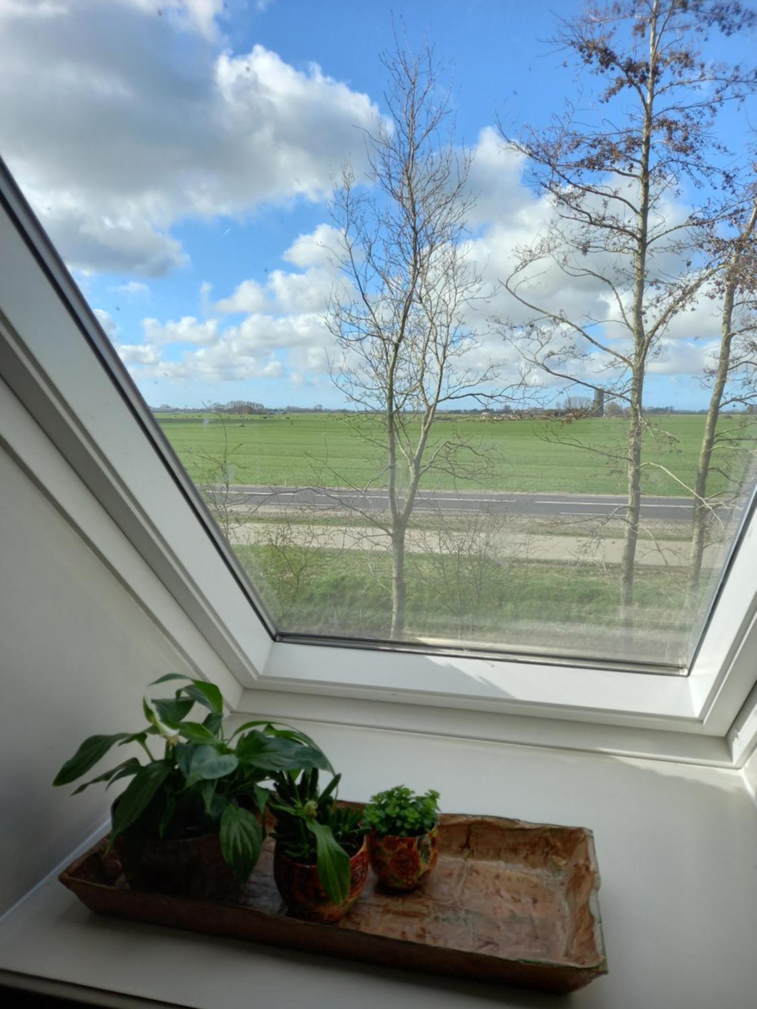 B&B Aan De Fjildwei Rinsumageest Buitenkant foto