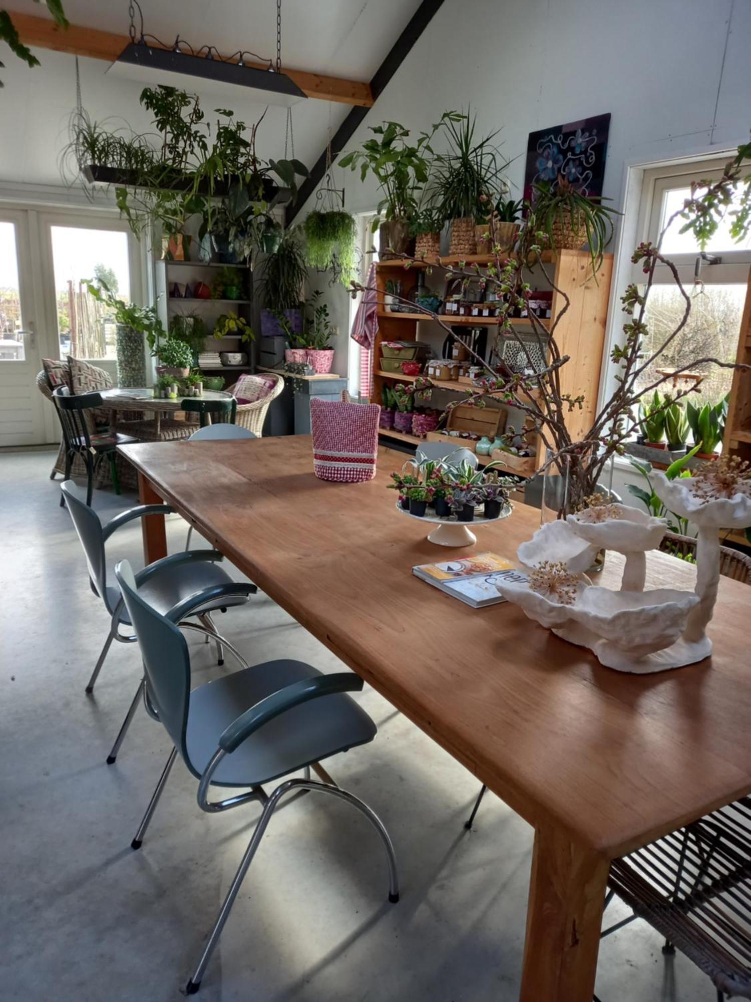 B&B Aan De Fjildwei Rinsumageest Buitenkant foto