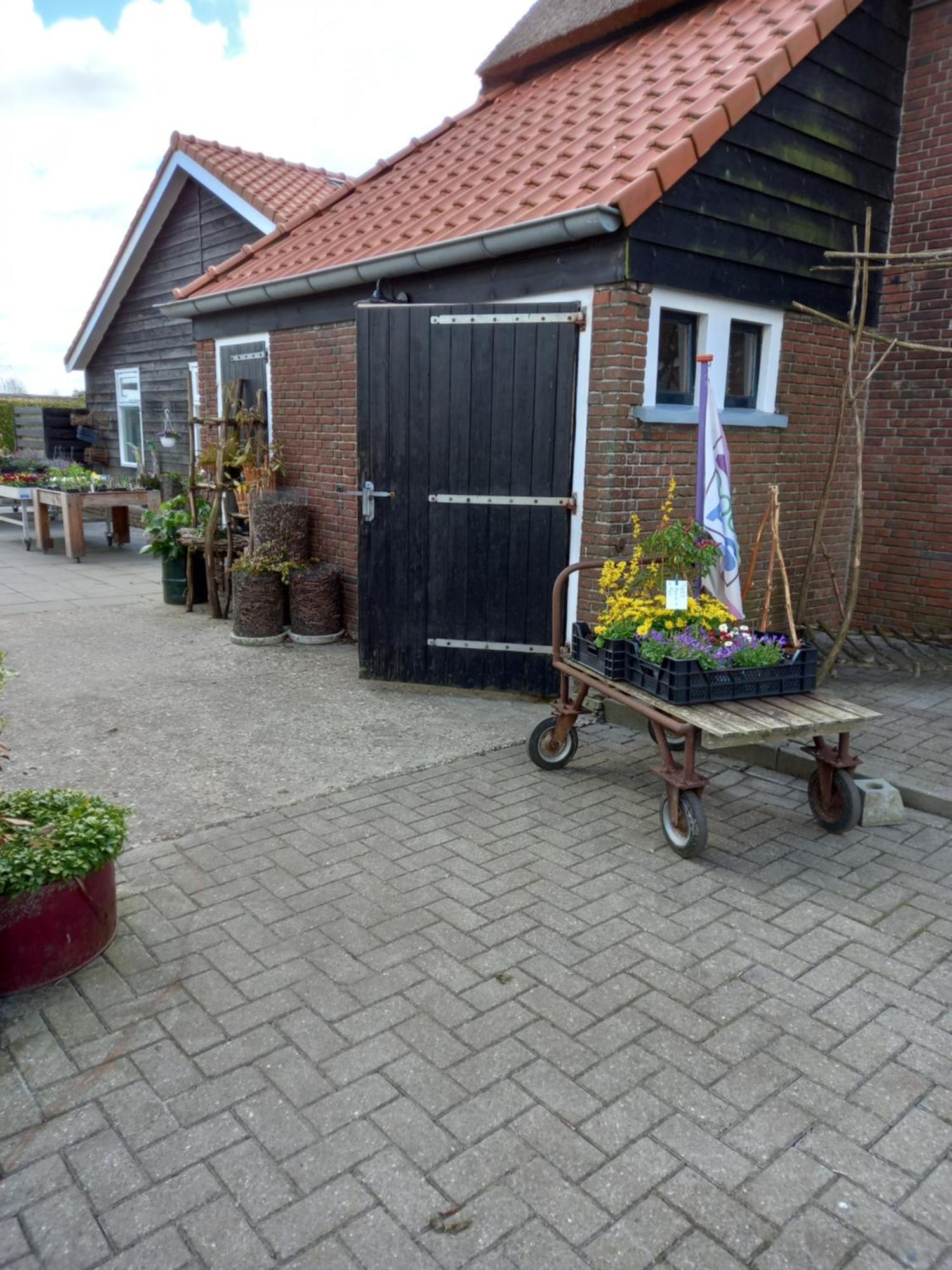 B&B Aan De Fjildwei Rinsumageest Buitenkant foto