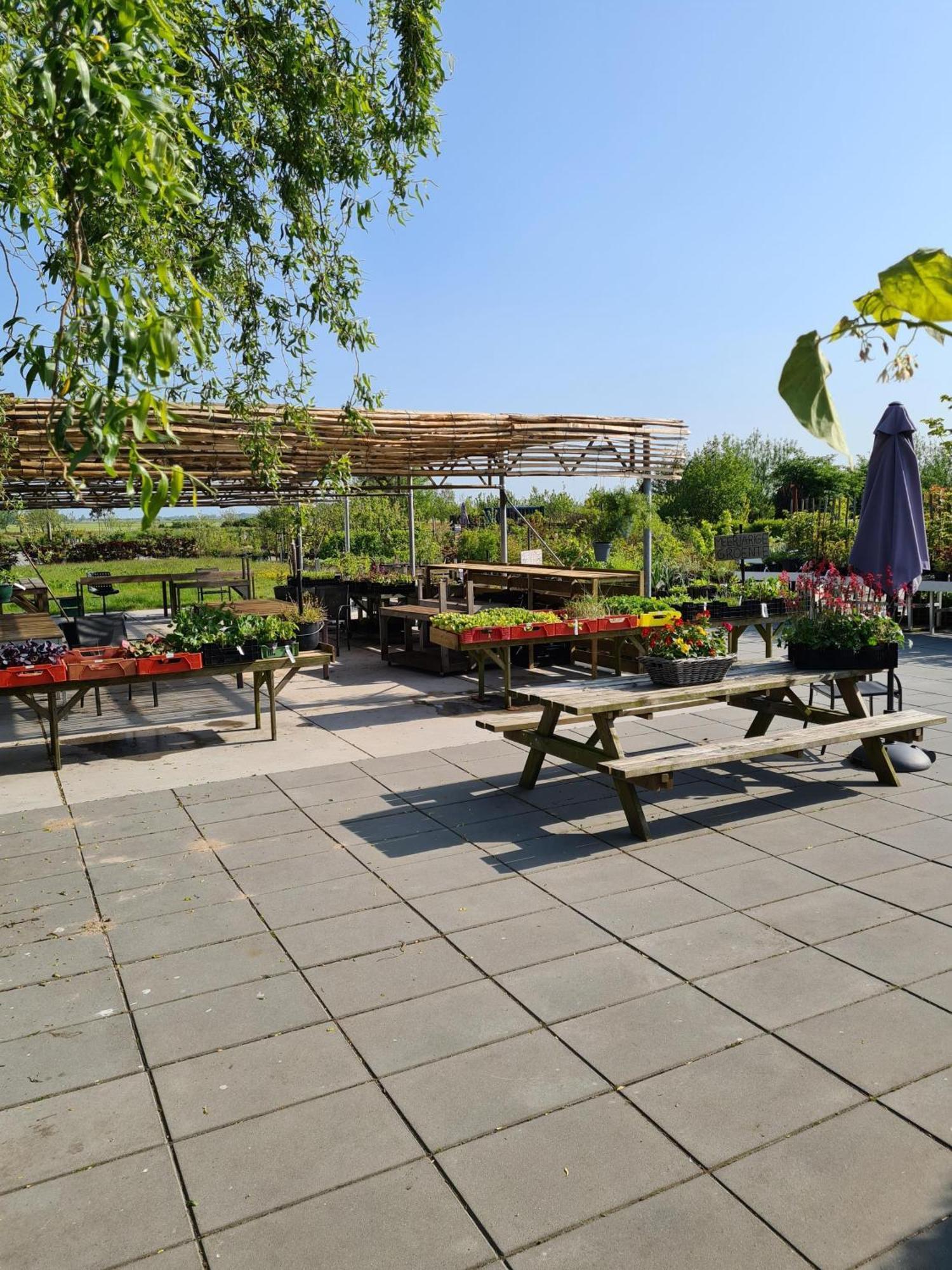 B&B Aan De Fjildwei Rinsumageest Buitenkant foto