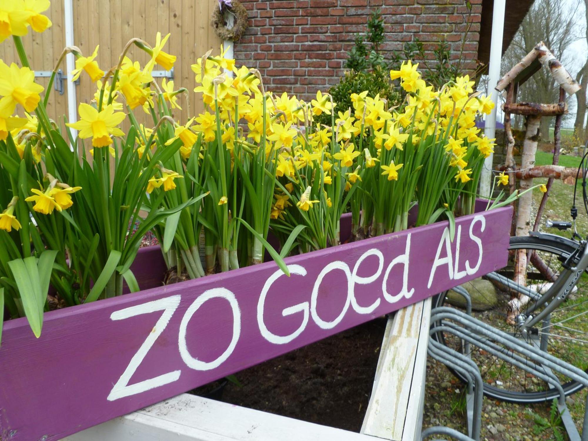 B&B Aan De Fjildwei Rinsumageest Buitenkant foto